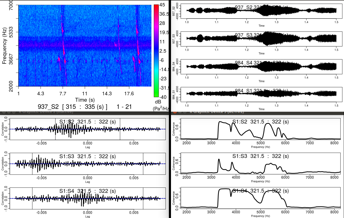 Coherent cross-correlation processing app
